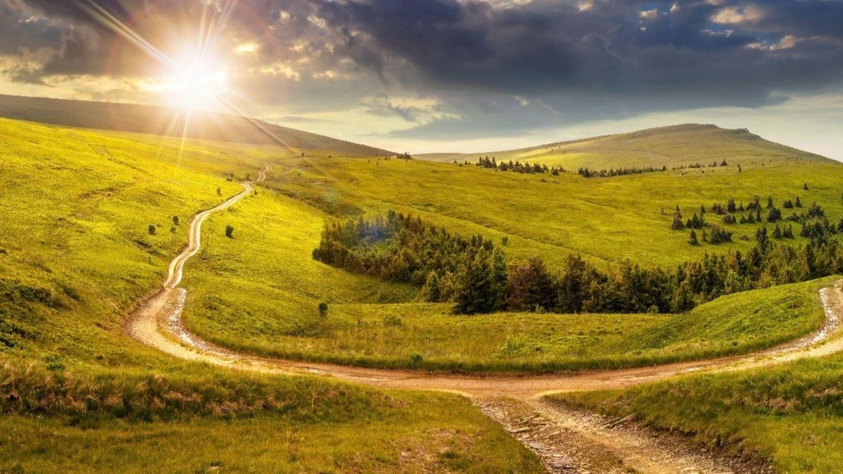 When Shared Purpose Helps a Young Adult Flourish